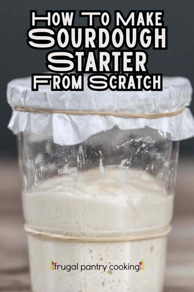sourdough starter in jar with cover and rubber band marking starting line with words how to make easy sourdough starter recipe from scratch