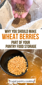 image of bulk wheat berries for food storage prepping and an image of cooked wheat berries with text overlay why you should make wheat berries party of your frugal pantry food storage food prep